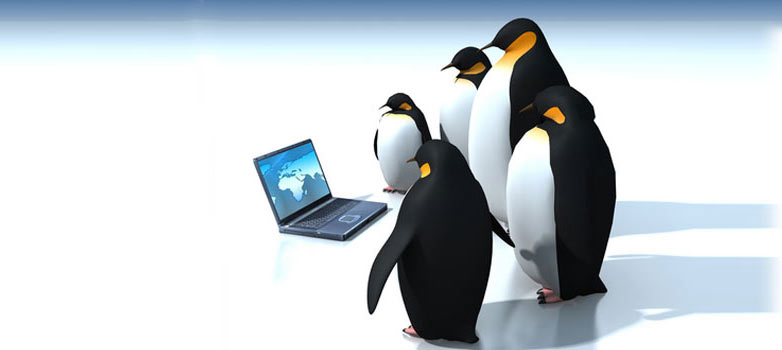 Google-Penguin